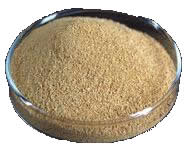 Cellulose Enzyme