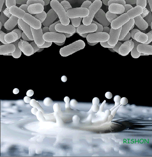 AntiFreeze Protein (AFP)