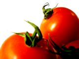 Tomato Powder Cas No.: 90131-63-8