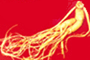Ginseng P.E. Cas No.: 90045-38-8
