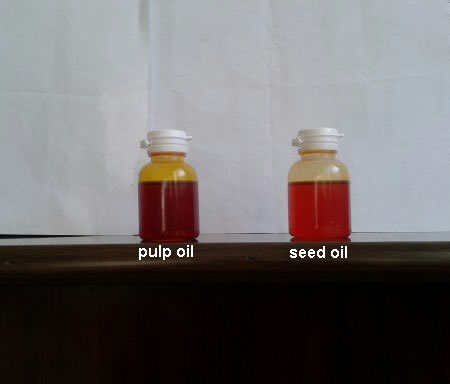 Perilla Seed Oil Cas No.: 68132-21-8